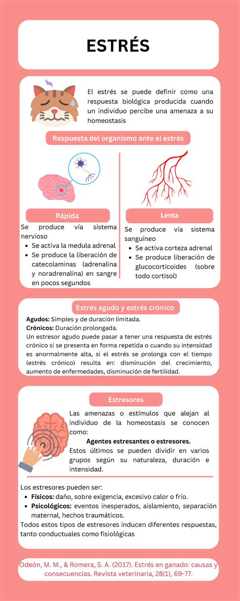 Infografía sobre los efectos del estrés en los cuidadores