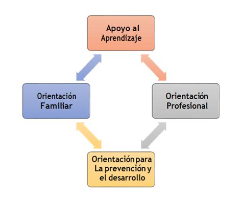 Esquema de las fases de una intervención psicopedagógica en adultos mayores