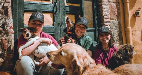 Voluntarios cuidando perros en un refugio de animales