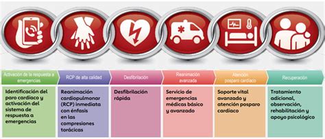 Esquema de la cadena de supervivencia para RCP