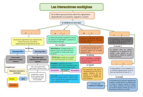 Diagrama que ilustra las interconexiones y colaboraciones entre SENAME y otras instituciones gubernamentales y organizaciones.