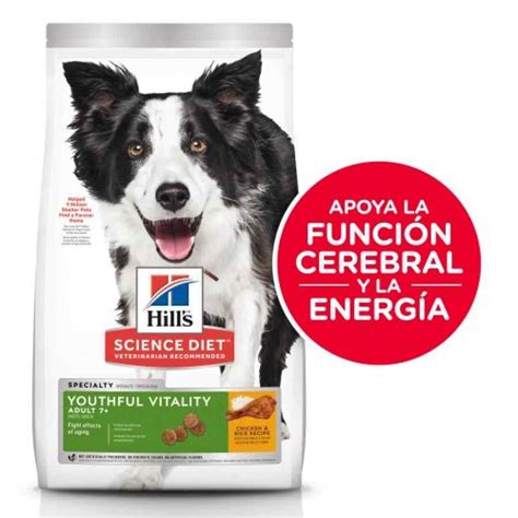 Perro adulto mayor comiendo su alimento Hill's, mostrando vitalidad