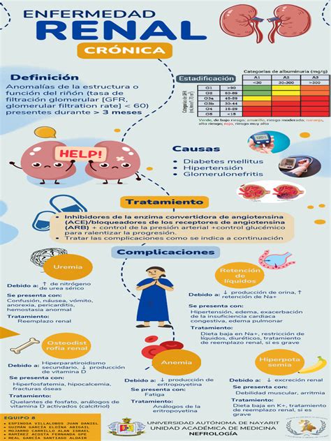 Infografía sobre la salud renal en perros mayores