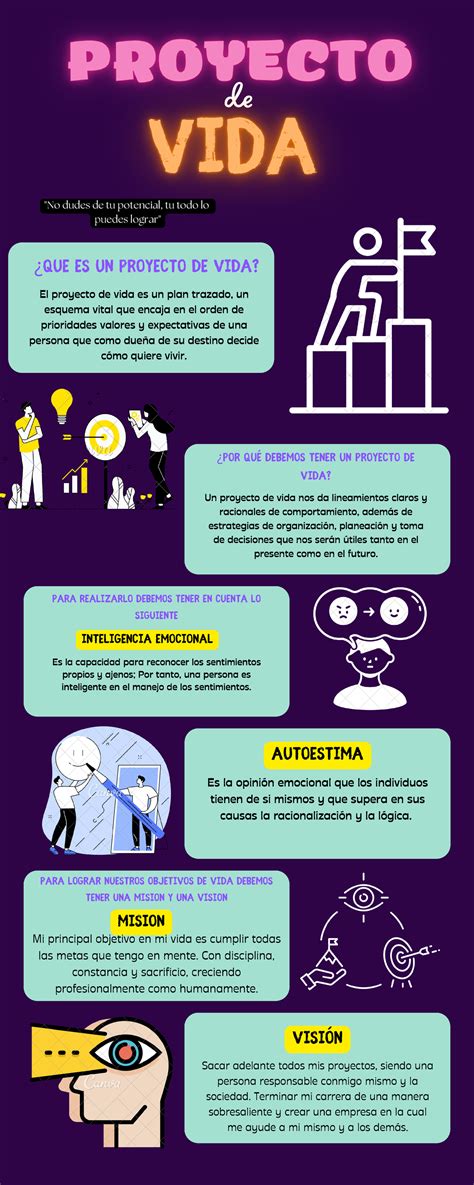 Esquema de un proyecto de vida con diferentes áreas (salud, social, ocio, aprendizaje)