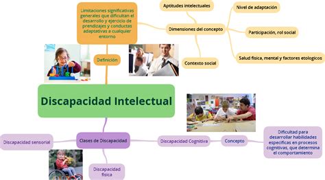 Esquema de los sistemas de apoyo para personas con discapacidad intelectual