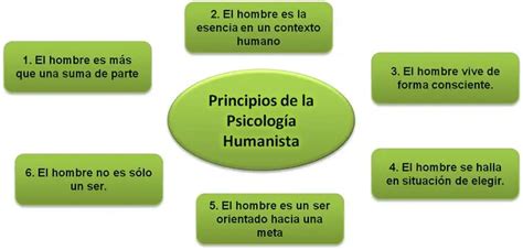 Esquema: Principios del enfoque humanista en la intervención paliativa