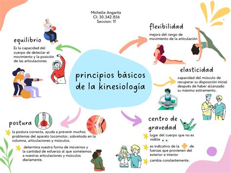 Ilustración de servicios médicos y de kinesiología disponibles en la asociación