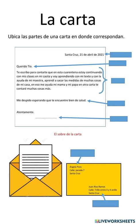 Infografía o esquema sobre las partes de una carta de presentación de voluntariado