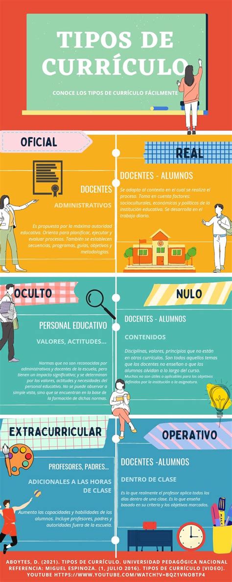 Gráfico o infografía sobre los tipos de currículum o las secciones clave de un CV para voluntarios