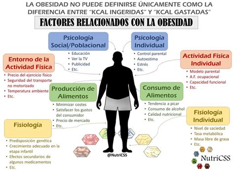 Esquema de las causas multifactoriales de la obesidad: factores genéticos, metabólicos, conductuales y ambientales.