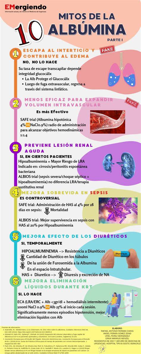 Infografía: Ciclo de la albúmina en el cuerpo y factores de caída