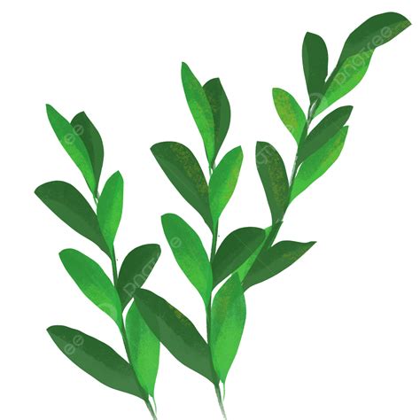 Ilustración de hojas de plantas siendo trituradas para formar una pasta colorante