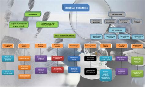 Esquema de las ciencias forenses y su relación con el sistema judicial