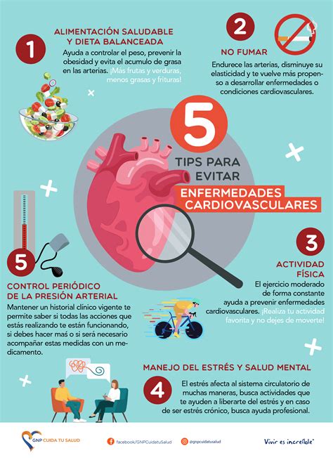 Infografía sobre hábitos saludables para prevenir enfermedades cardiovasculares y ACV