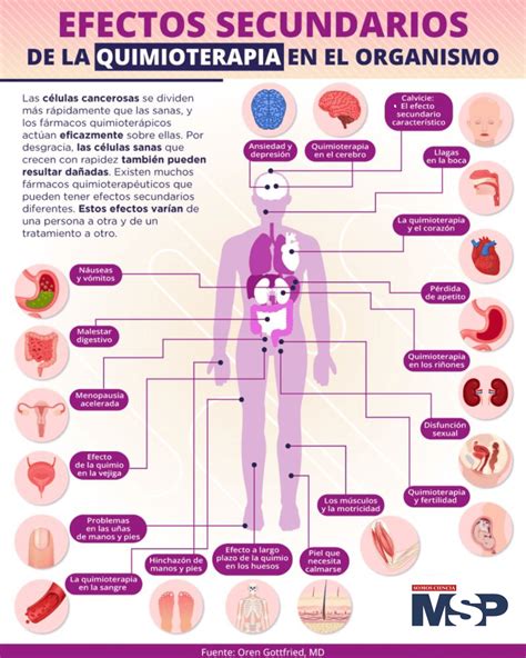 Gráfico explicando los efectos de la quimioterapia y radioterapia en la boca