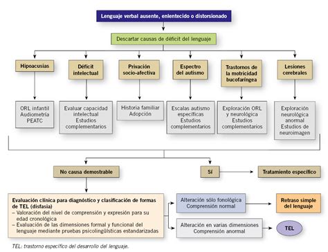 Esquema de la evolución conceptual de los trastornos del lenguaje