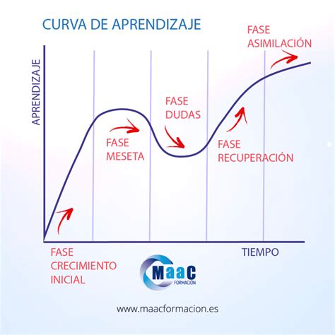Infografía mostrando la curva de aprendizaje a lo largo de la vida y los beneficios en la tercera edad