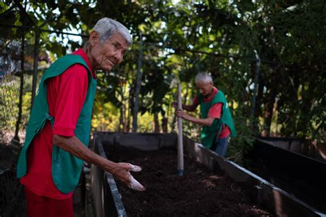Niños y adultos mayores trabajando juntos en un huerto