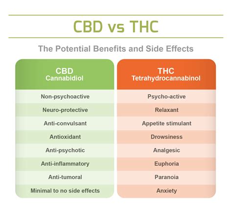 Infografía comparando THC y CBD: efectos, propiedades y uso