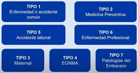 Gráfico: Tipos de licencias médicas según su origen y entidad administradora