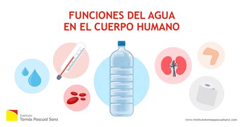 Esquema de las funciones vitales del agua en el cuerpo humano