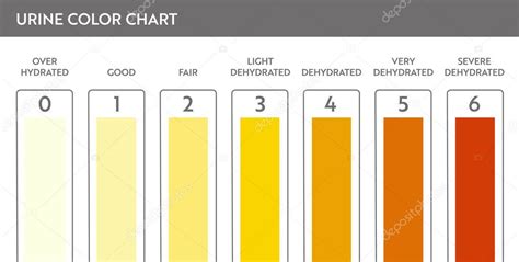 Tabla de colores de orina como indicador de hidratación
