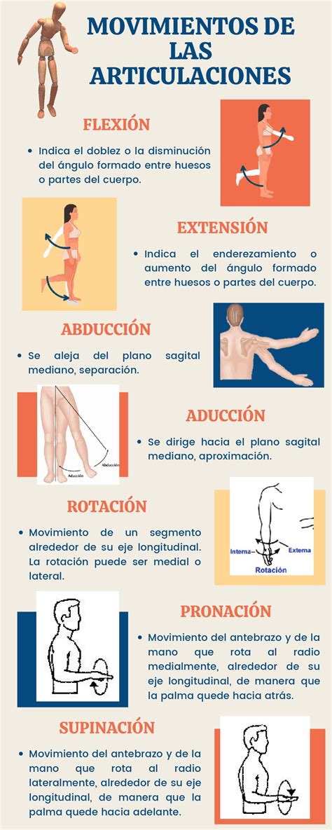 Infografía: Esquema de los principales grupos articulares (hombros, caderas, rodillas y tobillos) y sus rangos de movimiento seguros.