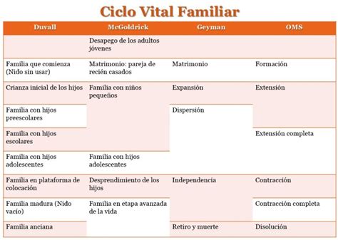 Esquema infográfico que ilustra las etapas del ciclo vital familiar: desde la formación de la pareja hasta la vejez y el duelo.