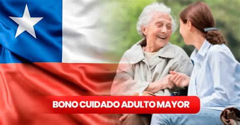 Infografía sobre programas gubernamentales para adultos mayores en Chile