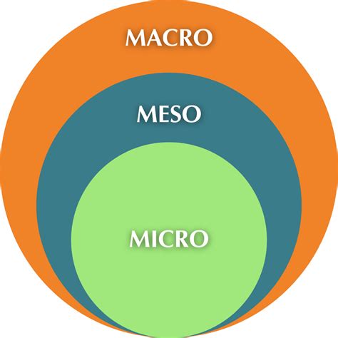 Gráfico de los sistemas macro, meso y micro sociales en educación