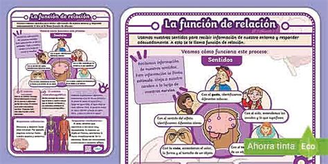 Infografía que muestra la relación entre la práctica de yoga y la mejora de la densidad ósea, equilibrio y salud emocional en personas mayores.