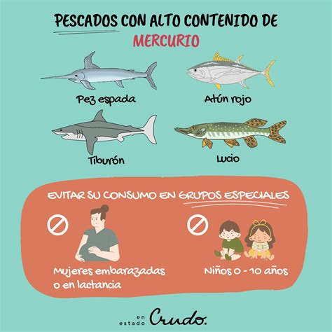 Infografía: Tipos de pescado recomendados (pequeños) frente a especies con alto contenido en mercurio (grandes depredadores).