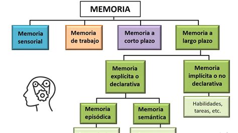 Gráfico mostrando la diferencia entre memoria a corto y largo plazo