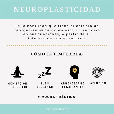 infografía sobre cómo funciona la neuroplasticidad