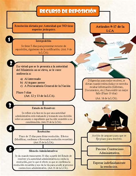Esquema del proceso de reposición de la Tarjeta Bip! Adulto Mayor