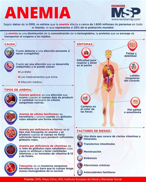 Infografía: Causas y tipos de anemia comunes en la población geriátrica.