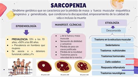 Diagrama mostrando la progresión de la sarcopenia y sus causas en el envejecimiento