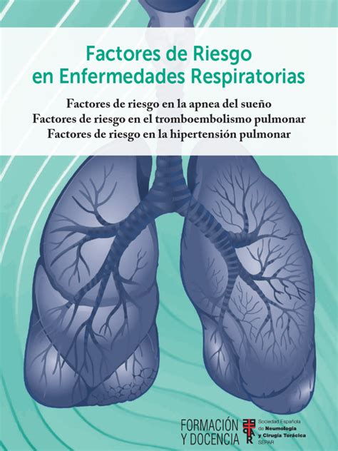 Infografía: Factores de riesgo para enfermedades respiratorias graves