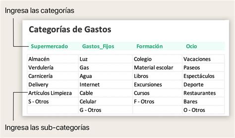 Infografía: Proporción de ingresos destinados a diferentes categorías de gastos en residencias de ancianos