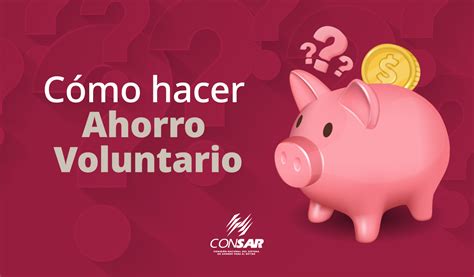 Esquema de las opciones de ahorro voluntario