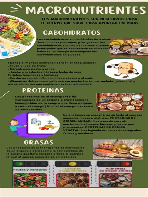 Infografía sobre la distribución ideal de macronutrientes en la dieta del adulto mayor