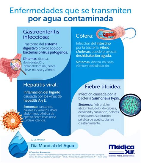 Infografía sobre enfermedades transmitidas por el agua y sus causas