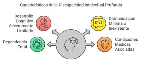 Esquema de las principales características de la discapacidad intelectual