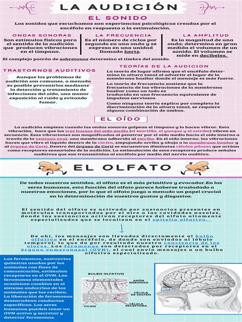 Infografía comparando la audición monoaural y binaural