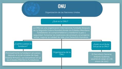 Esquema de la estructura de la ONU para los derechos humanos, incluyendo ACNUDH, Consejo de Derechos Humanos y órganos de tratados.