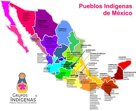 Mapa mostrando la distribución de pueblos indígenas o un gráfico sobre diversidad lingüística.