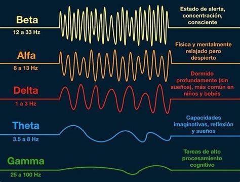 cerebro humano con ondas de sueño
