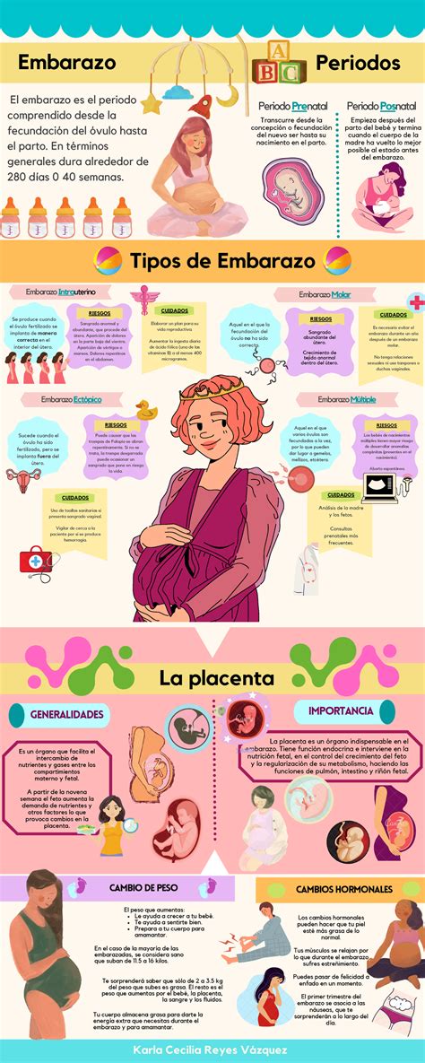 Infografía sobre los cambios hormonales y físicos durante el embarazo