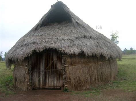 Casa tradicional mapuche (ruka) hecha de materiales naturales en un entorno boscoso