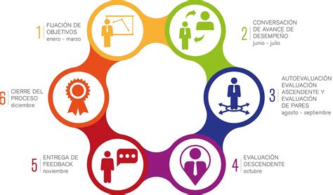 Esquema de un ciclo de evaluación de desempeño